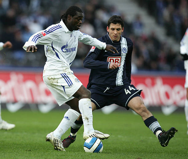 在新闻发布 在新闻发布